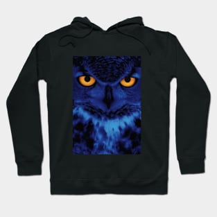 Raptor Eyes Hoodie